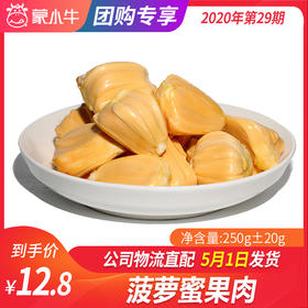 【团长】菠萝蜜果肉	250g±20g