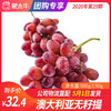 【团长】澳大利亚无籽提	500g±50g 商品缩略图0