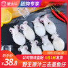 【团长】野生原汁三去墨鱼仔	450g/袋 商品缩略图0