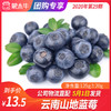 【团长】云南山地蓝莓	125g±20g 商品缩略图0