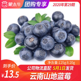【团长】云南山地蓝莓	125g±20g