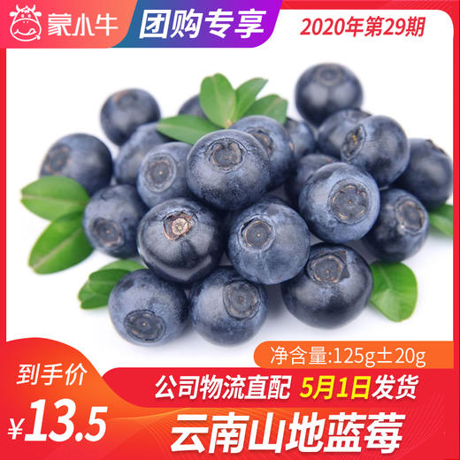 【团长】云南山地蓝莓	125g±20g 商品图0
