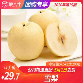 【团长】雪梨 4.5kg±200g