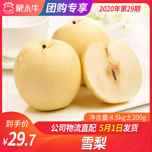 【团长】雪梨 4.5kg±200g 商品图0