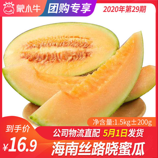 【团长】海南丝路晓蜜瓜	1.5kg±200g 商品图0