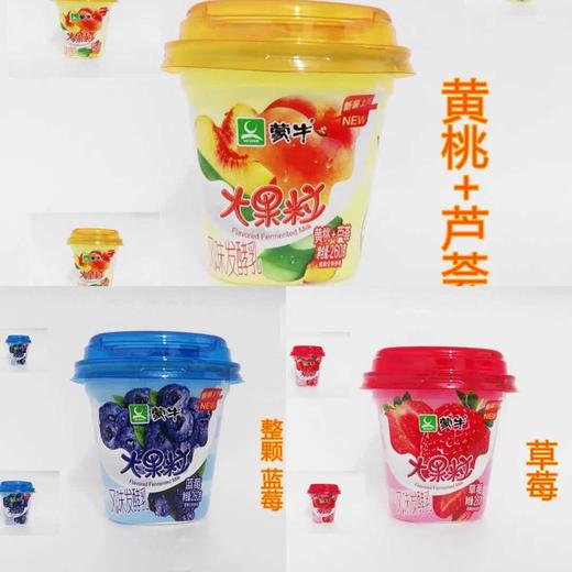 蒙牛大果粒酸奶260g 商品图0