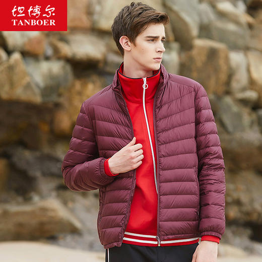 TA17223坦博尔秋冬羽绒服男短款修身时尚轻薄保暖立领羽绒服男装 商品图0