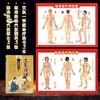 艾灸一学就会+男女经络穴位 商品缩略图0