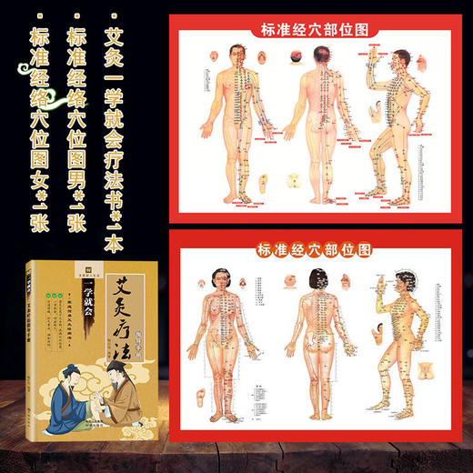 艾灸一学就会+男女经络穴位 商品图0