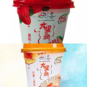 伊利大果粒260g
