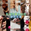 派可为犬猫修脚毛器 商品缩略图3