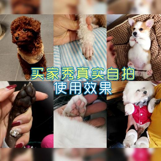 派可为犬猫修脚毛器 商品图3