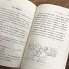 正版包邮 我的名字叫光 童言著 新生代儿童文学作家童言写给孩子们的成长礼物 谭旭东 6-12岁儿童文学 中小学生课外阅读 商品缩略图4