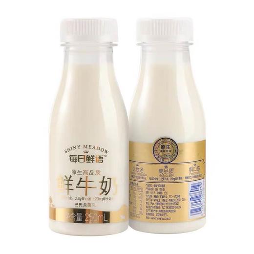 蒙牛每日鲜语鲜牛奶250ml 商品图0