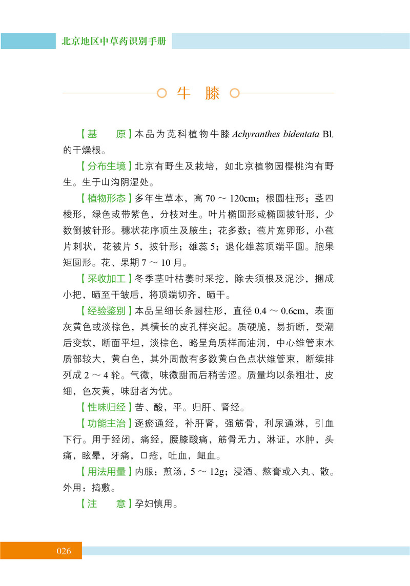 北京中草药识别手册18.jpg