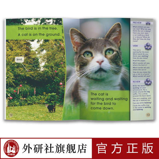 多维阅读(第5级)(教学指南) 商品图3