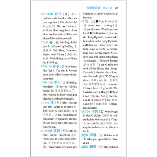 汉语小词典(德语版) 商品图1