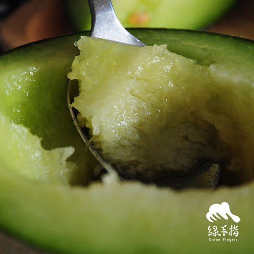 有机网纹瓜 | 合作生产 * Organic Honeydew melon | Coproduction 商品图4