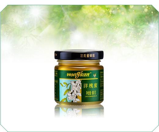 汪氏洋槐蜜90g 商品图0