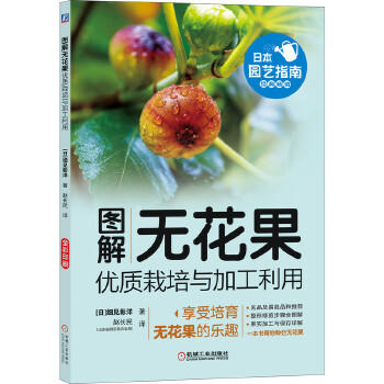 图解无花果优质栽培与加工利用 商品图0