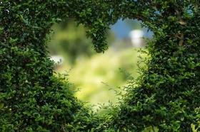 直播丨 皮肤、心脏、肠胃病高发？夏天你得这样吃! 