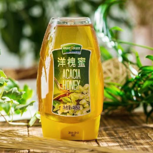 洋槐蜜465g 商品图0