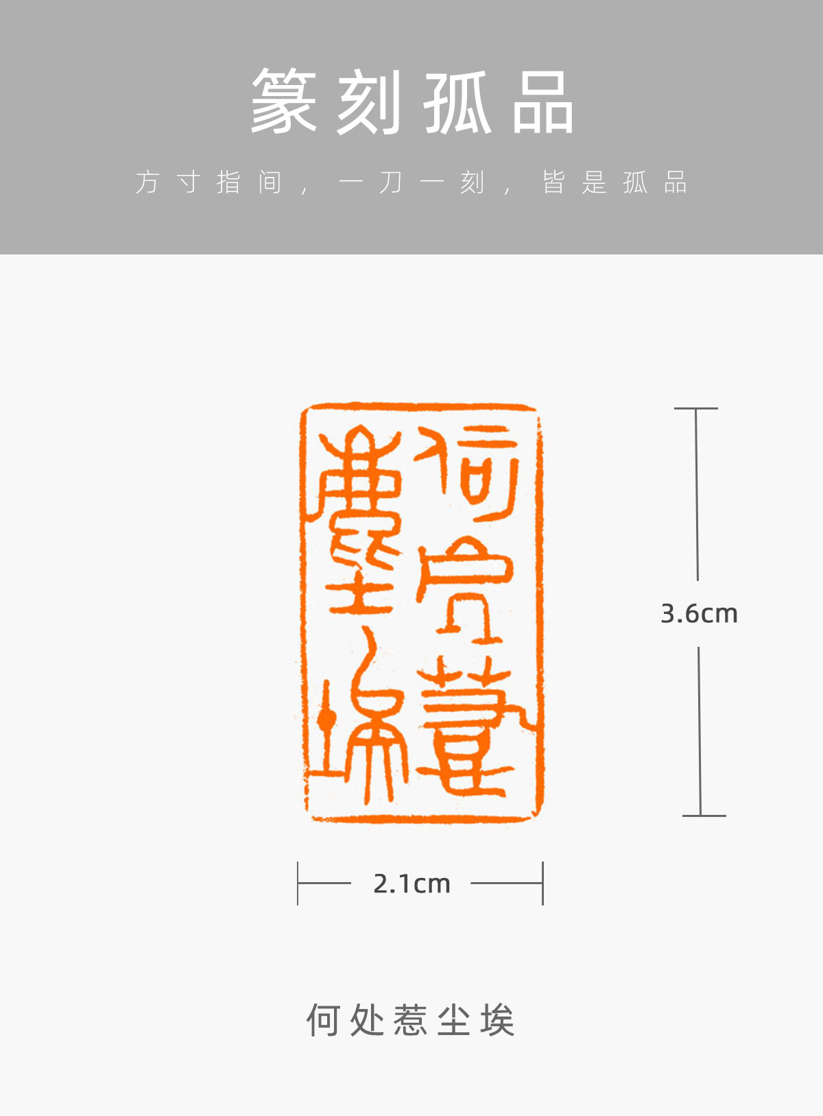 【何处惹尘埃】王光伟 古玺大篆篆刻成品闲章书画引首印章wgw34