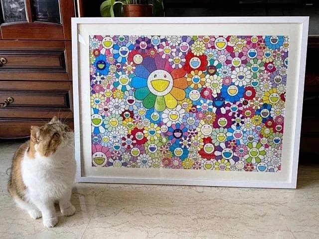 村上隆新太阳花限定拼图,周年纪念版纸质1000片七彩太阳花拼图拼版!