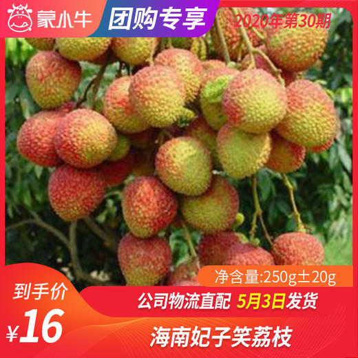 【团长】海南妃子笑荔枝 250g±20g 商品图0