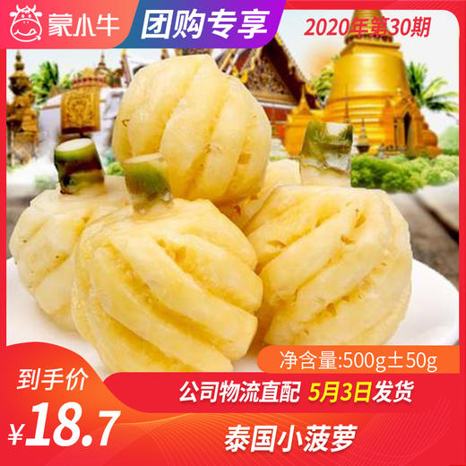 【团长】泰国小菠萝 500g±50g 商品图0