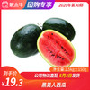 【团长】黑美人西瓜 2.5kg±150g 商品缩略图0