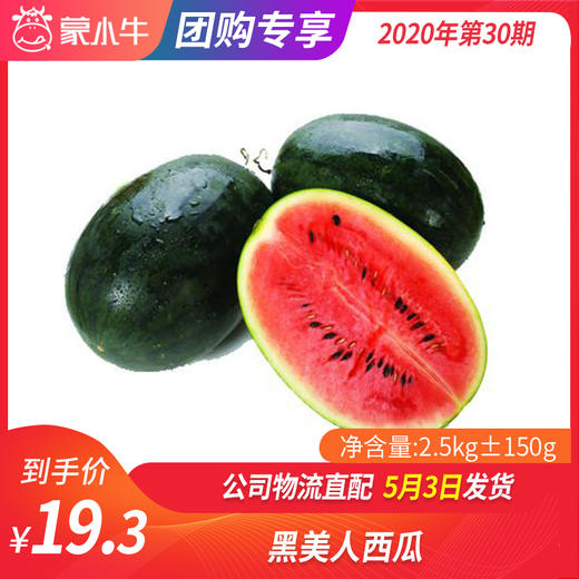 【团长】黑美人西瓜 2.5kg±150g 商品图0