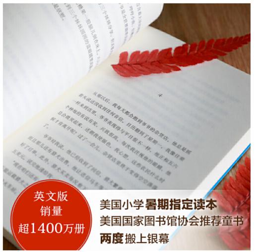 红色羊齿草的故乡（爱心树童书）7-14岁 商品图3