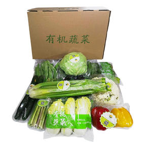 爱农 有机 新鲜蔬菜礼盒 生鲜礼盒 套餐礼包F