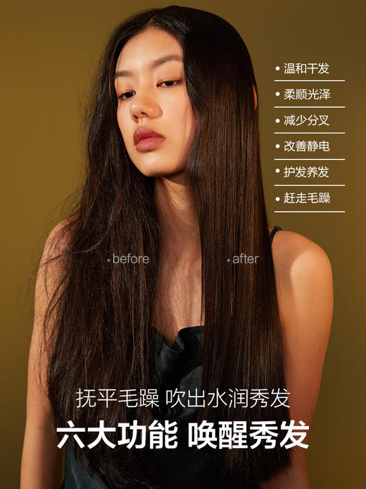 素士H5梵高吹风机 商品图3