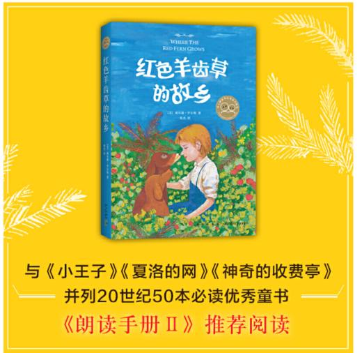 红色羊齿草的故乡（爱心树童书）7-14岁 商品图2