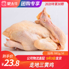 【团长】走地三黄鸡	980g/只 商品缩略图0