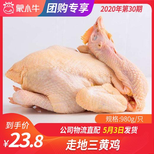 【团长】走地三黄鸡	980g/只 商品图0