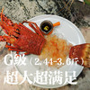 福州分店-[48小时发货]G级（2.44-3.6斤） 澳洲红岩大龙虾  鲜活发货 商品缩略图2