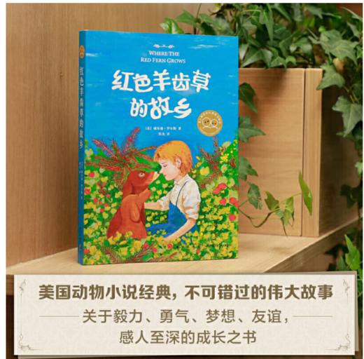 红色羊齿草的故乡（爱心树童书）7-14岁 商品图1