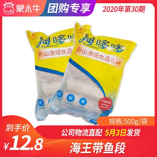 【团长】海王带鱼段 500g/袋 商品图0