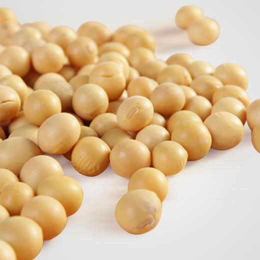 北大荒牧业沃农场 黄豆 380g*5包 包邮 商品图1