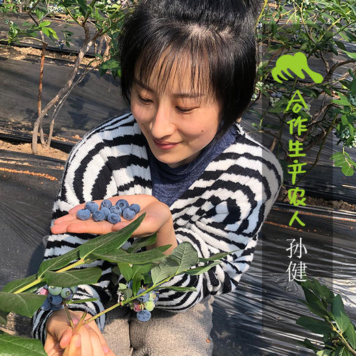有机蓝莓（预售） | 合作生产*Organic blueberry | Coproduction 商品图0