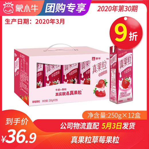 A49真果粒草莓果粒250g×12盒 商品图0