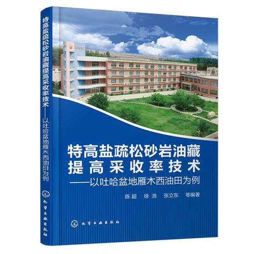 特高盐疏松砂岩油藏提高采收率技术——以吐哈盆地雁木西油田为例 商品图0