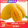 【团长】高乐蜜芒 1.5kg±150g 商品缩略图0