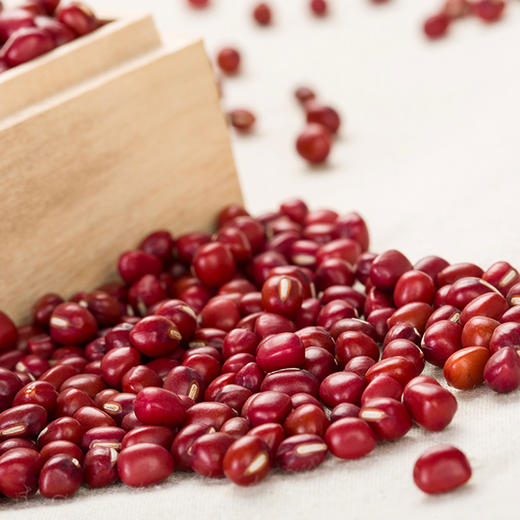 北大荒牧业沃农场 红豆 珍珠红 440g*2袋 包邮 商品图3