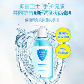 欧丽源洗手液抑菌消毒专用250ml(免洗)