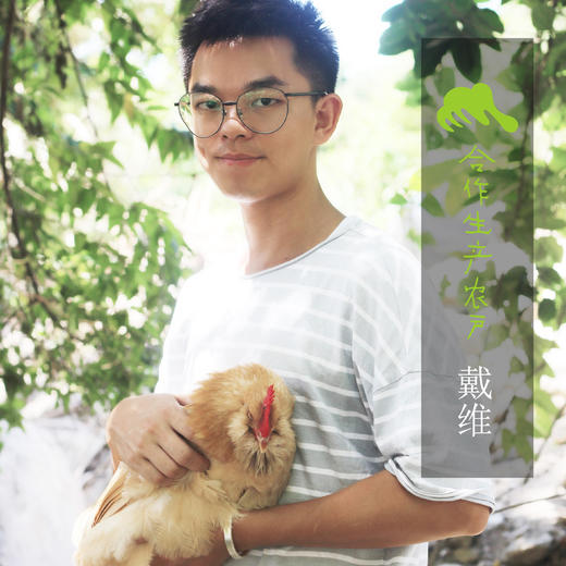 生态鸡蛋 | 合作生产*Eco- egg | Coproduction 商品图3