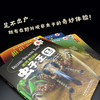 不可思议的虫子王国（套装4册） 番茄博士双语百科 小学高年级至初中低年级 商品缩略图2